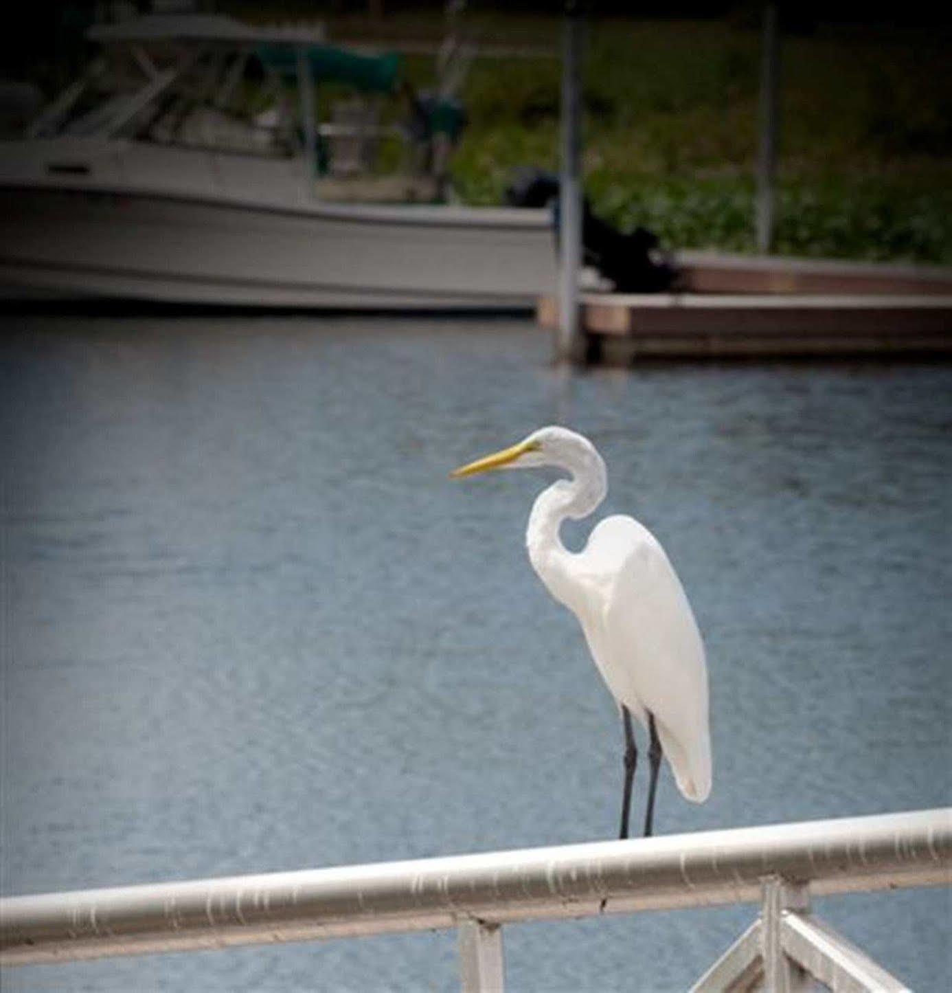 Hampton Inn Okeechobee - Lake Okeechobee Exterior foto
